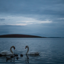 donalK_corrib_colour_IMG_1748