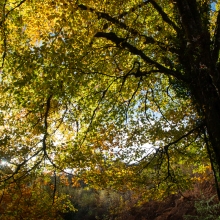 donalK_corrib_colour_IMG_1763