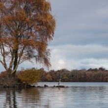 donalK_corrib_colour_IMG_2789