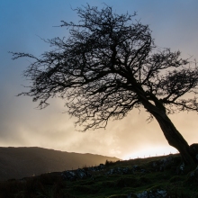 donalK_corrib_colour_IMG_8097