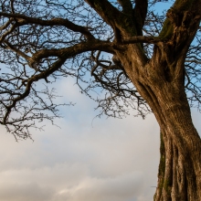 donalK_corrib_colour_IMG_8110