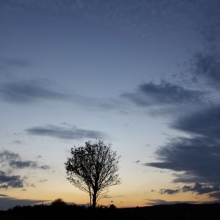 donalK_corrib_colour_IMG_8698