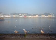 img465