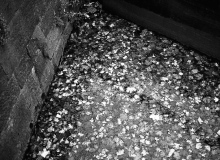 img922ae1P_fp4_setember2016
