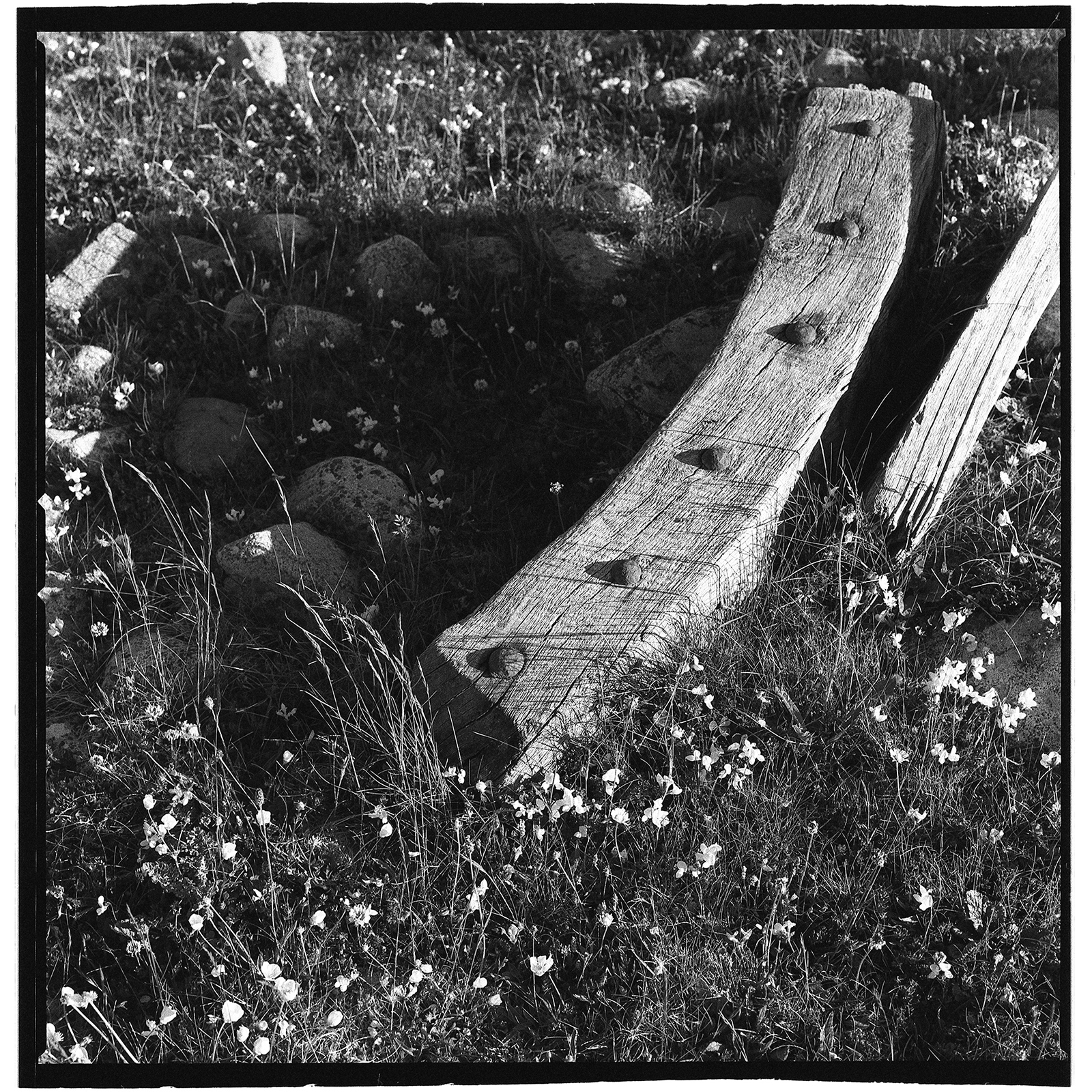 Boat wood washed up on Feenish Island, Connemara