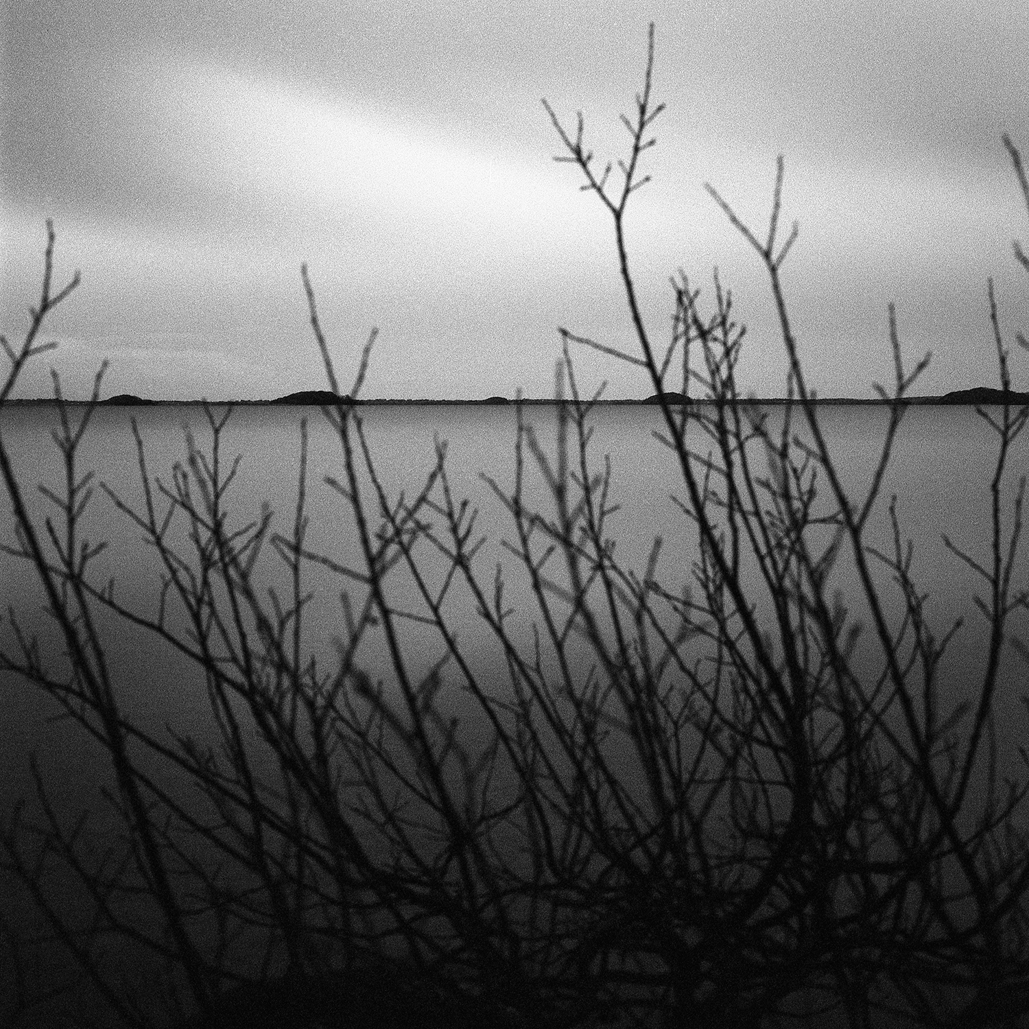 img370_501C_delta100_baurisheen_febraury_DonalKelly_1500