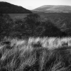 img841_800