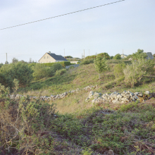 img451