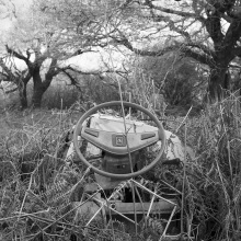 seek04_img118