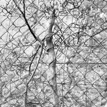 seek05_img896