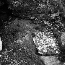 seek13_img351
