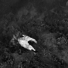 seek22_img086