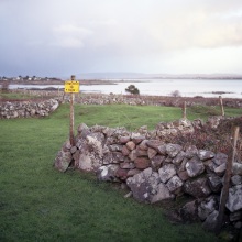 seek25_img233