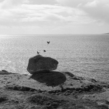 Rooks Three, Inis Ní