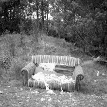 seek35_120_2018_fp4RecessWoodsBaurisheenDawnMay2018Rod8m501C_img071
