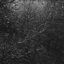 seek39_img979