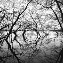 seek40_120_2020_hp5HighCorribFeb2020_rody_img999_v2