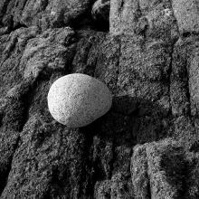 seek41_img183