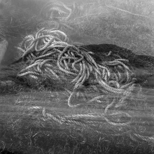 Donal Kelly, Rope, sand, Glassilaun, Connemara, Galway.