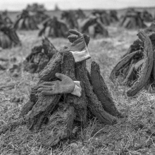 The Footing Gloves, Leitir bog, Galway.