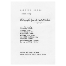 Donal Kelly, Walking Edges, Title poem for show