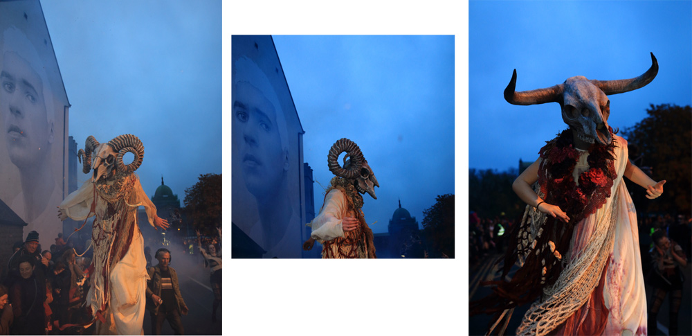 Macnas Parade 2014, Galway