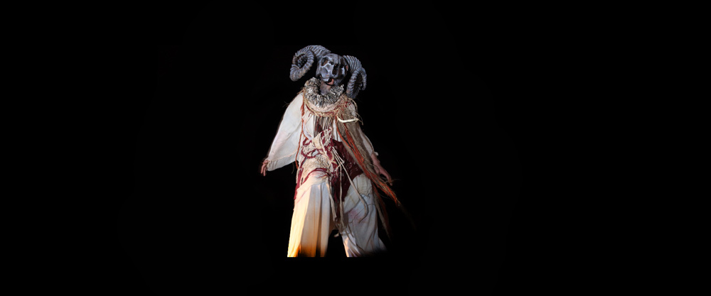 Macnas Parade 2014, Galway