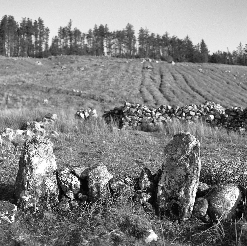 Glann shore, Galway, Ireland