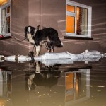 Rising Water, Sinking Home: flooding December 2015, Roundfort, Mayo