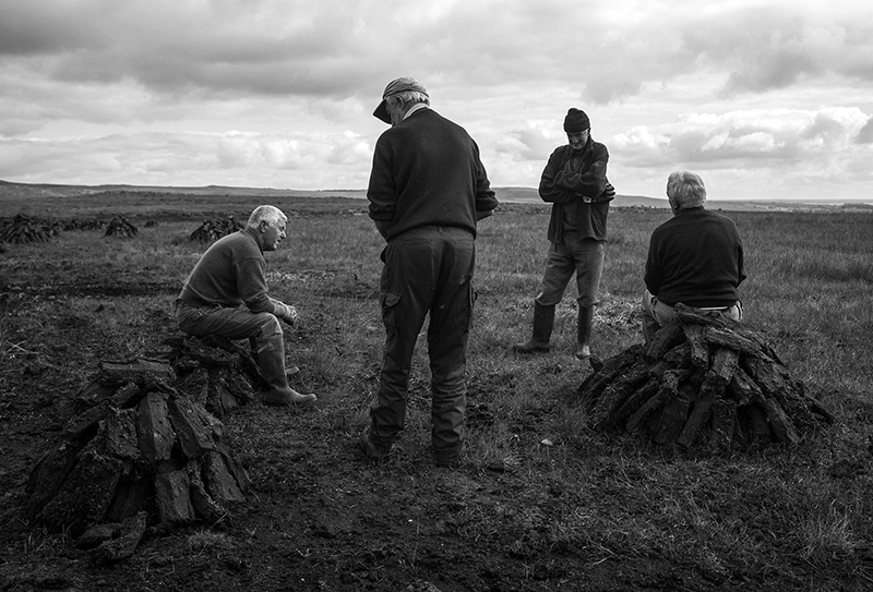 in the bog photography donal kelly 2017